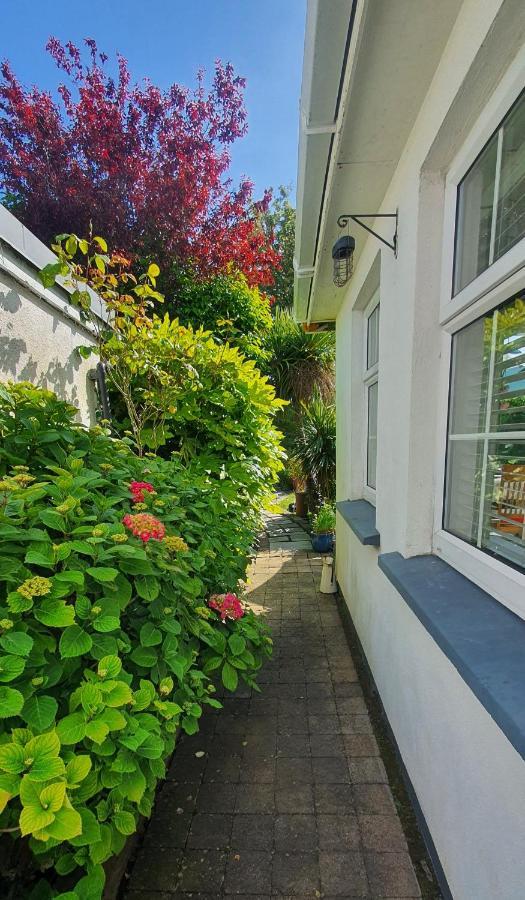 124 ,Castlelawn Heights, Headford Road Galway Homestay エクステリア 写真